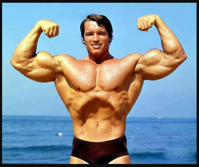Arnold Schwarzenegger’s Height, Weight, and Body Measurements